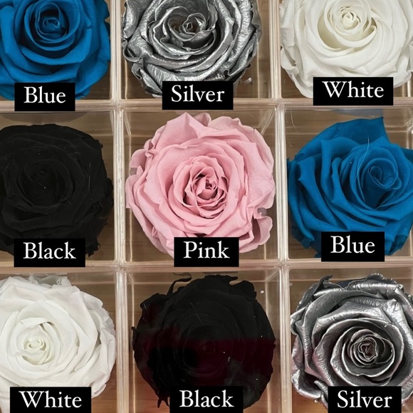 NIB Preserved Rose - Picture 8 of 9